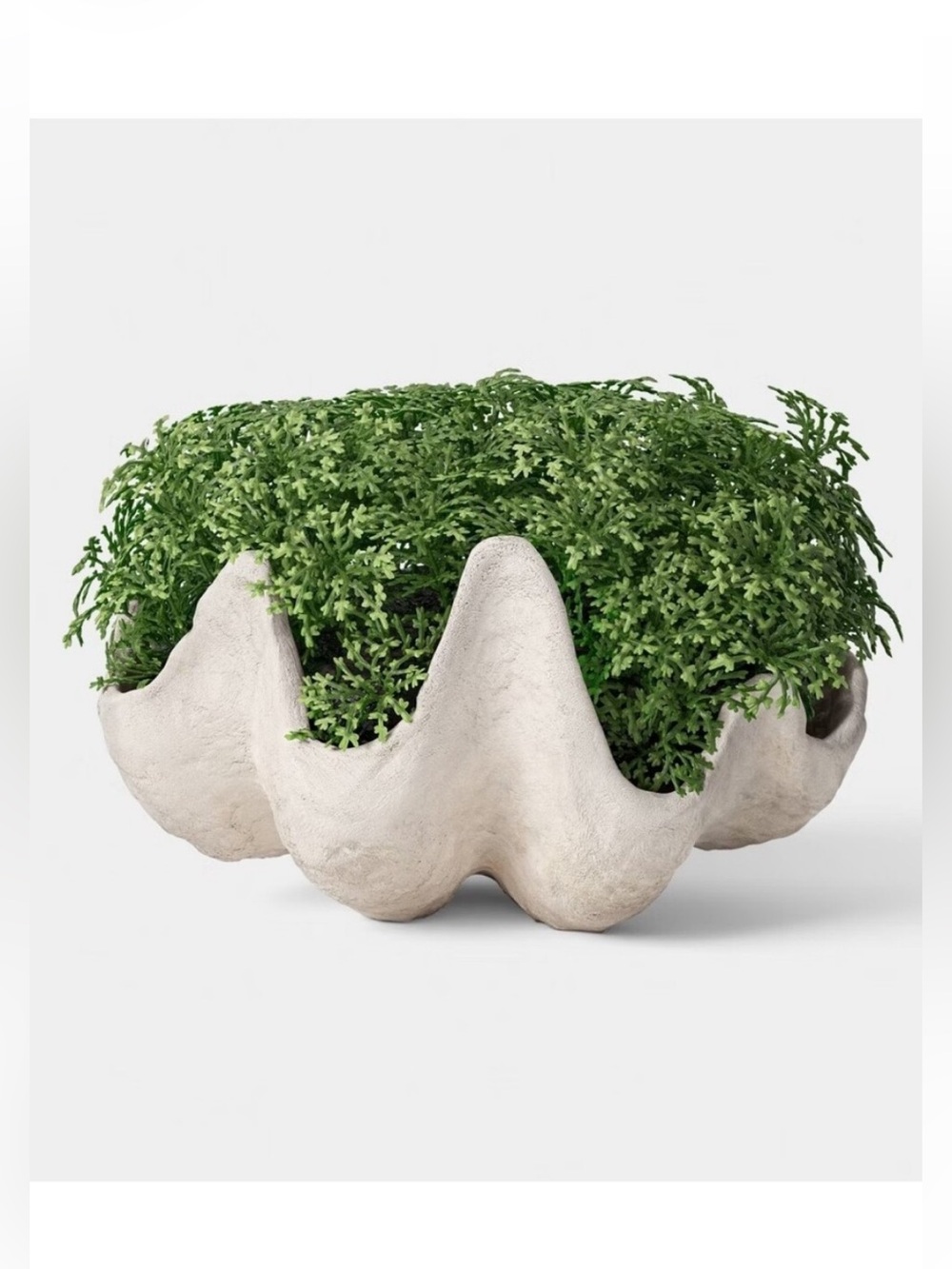 Threshold Studio McGee Faux Moss Shell Decor